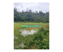 2 Acres plain lands sale in Mudigere