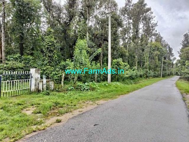 9 Acres Of Well Maintained Coffee Estate For Sale In Sakleshpur 9 Acres Of Well Maintained Coffee Estate For Sale In Sakleshpur