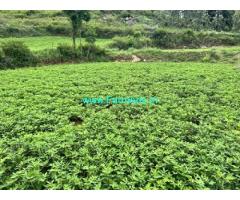 2.5 acre agriculture land with house for sale in Thottidurai village