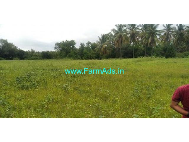 Very Urgent 1 Acre Agriculture Land For Sale Near Nagamangala Very Urgent 1 Acre Agriculture Land For Sale Near Nagamangala