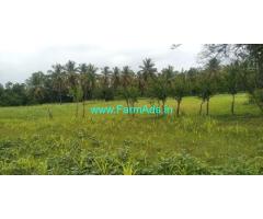 Very Urgent 1 Acre Agriculture Land For Sale Near Nagamangala Very Urgent 1 Acre Agriculture Land For Sale Near Nagamangala
