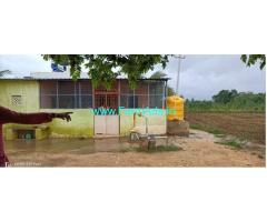 6 Acres young Areca and coconut plantation for Sale near Sira