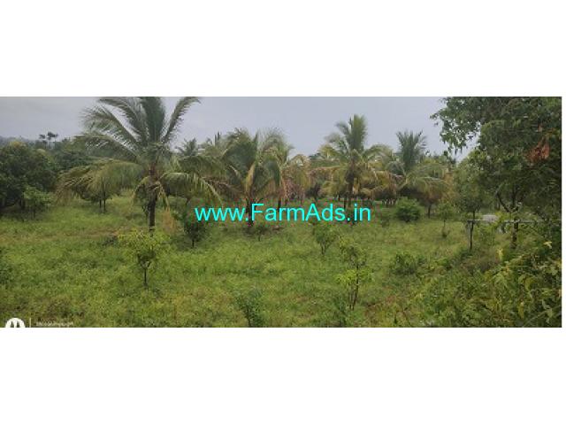 57 Acres Developed farm near Gowribidanur is for Sale 57 Acres Developed farm near Gowribidanur is for Sale