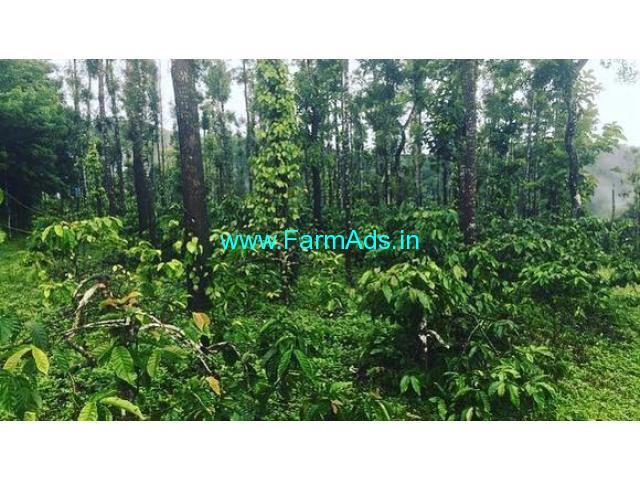 5 acre well maintained estate for sale near to Mudigere city 5 acre well maintained estate for sale near to Mudigere city