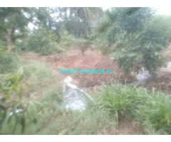 1.16 gunta Farm Land for sale near at Gedare village
