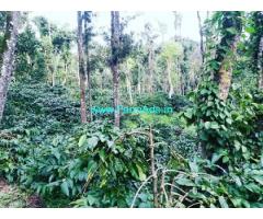 80 acres coffee estate for sale in Chikmagalur
