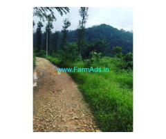 18 Acre Farm Land For Sale In Mudigere Kalsasa Road
