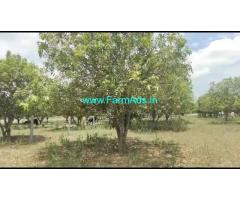 2.20 Gunta Agriculture Land For Sale near Jangaon