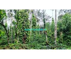 12 acre plantation for sale In between Mudigere and Kalasa