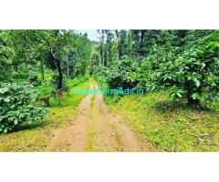 90 acres coffee estate with Bungalow for sale near Chikmagalur