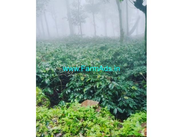 1 acre coffee plantation for sale In MullayanaGiri 1 acre coffee plantation for sale In MullayanaGiri