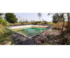 1 Acre Mango Farm Sale Kolar Srinivasapura Road