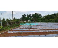 3.30 Acre Residential Converted Land for Sale At Srinivasapur