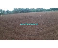 8 Acres Coconut Farm land for sale near Gauribidanur