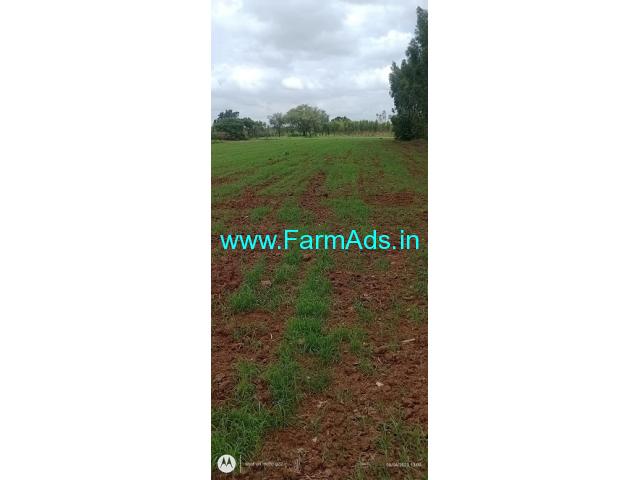 17 guntas Farm Land for Sale at Maralenahallli 17 guntas Farm Land for Sale at Maralenahallli