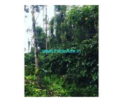 3 acre well maintained plantation for sale Belur Mudigere road