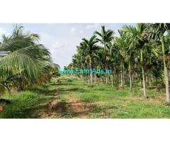 20 acre agriculture land for sale near Sira