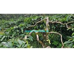 6 Acre Well Maintained Estate For Sale In Kalasa Road