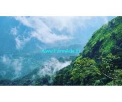 6 Acre Well Maintained Estate For Sale In Kalasa Road