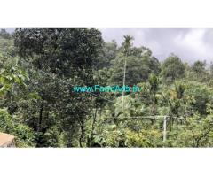 Urgent Sale 19 Cent Farm Land  For Sale In Vythiri Wayanad