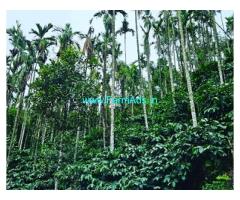 2 acre coffee plantation for sale Mudigere Kalasa road