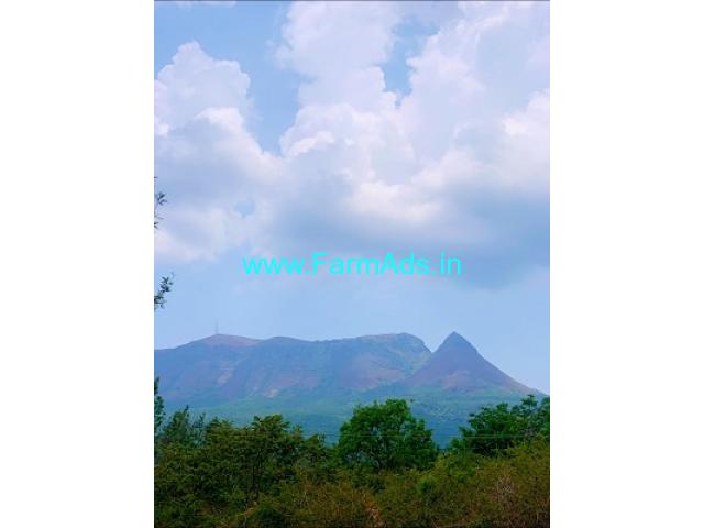 10 acres coffee estate for sale in Chikmagalur 10 acres coffee estate for sale in Chikmagalur