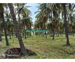6 acre farm land for Sale near Hiriyur 6 acre farm land for Sale near Hiriyur