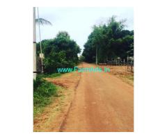 7 acre farm land for sale in Doddballapur