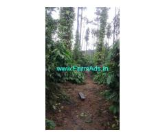 3.30 acre Robusta plantation with house sale in Mudigere city