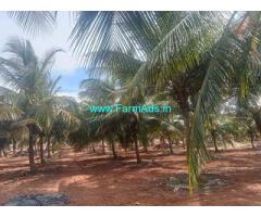 8 Acre Coconut Farm House For Sale Near Pollachi