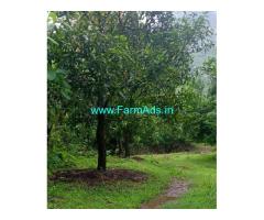 3 Acre Mango Farm Land  For Sale Near Govindhapuram