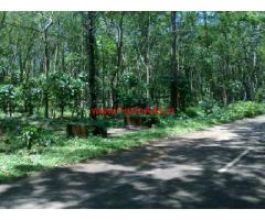 6 Acre Rubber Plantation for sale in Vazhoor - Ponkunnam - Kottayam