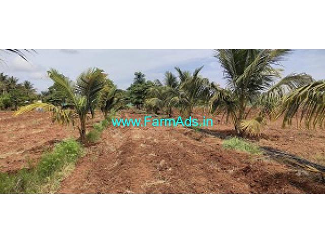 4 Acre Coconut Farm Land For Sale Near Nanjungud 4 Acre Coconut Farm Land For Sale Near Nanjungud