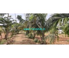 4 Acre Coconut Farm Land For Sale Near Nanjungud 4 Acre Coconut Farm Land For Sale Near Nanjungud