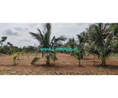 4 Acre Coconut Farm Land For Sale Near Nanjungud 4 Acre Coconut Farm Land For Sale Near Nanjungud
