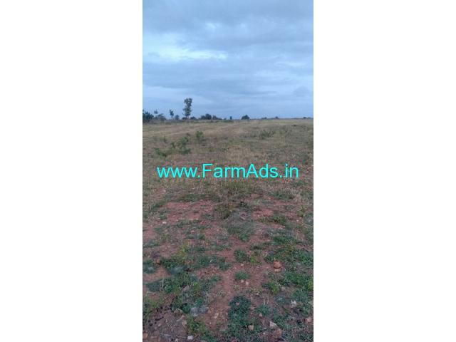 5.20 Acre Agricultural Land For Sale Near Chikkanayakanahalli 5.20 Acre Agricultural Land For Sale Near Chikkanayakanahalli