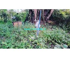 3.22 Acre Coffee Plantation For Sale In Belur