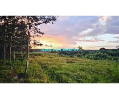 3.22 Acre Coffee Plantation For Sale In Belur