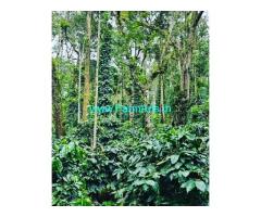 11 Acre Well Maintained Estate For Sale In Mudigere