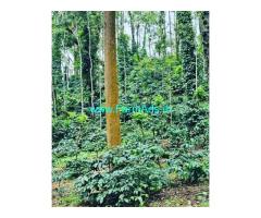11 Acre Well Maintained Estate For Sale In Mudigere