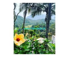 30 Plus Acre Coffee Estate For Sale Near Mudigere Kalasa Road