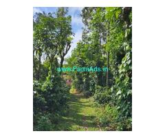 30 Plus Acre Coffee Estate For Sale Near Mudigere Kalasa Road