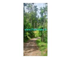 Coimbatore to Attappadi Chittur 5 acre Arecanut thottam for sale