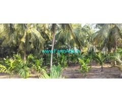 Coconut farm sale 2 acre near to Velanthavam