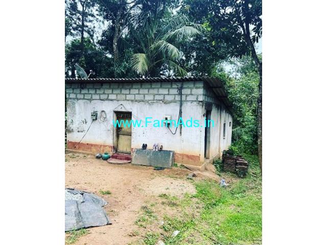 2 acre coffee plantation for sale near Baskal road 2 acre coffee plantation for sale near Baskal road