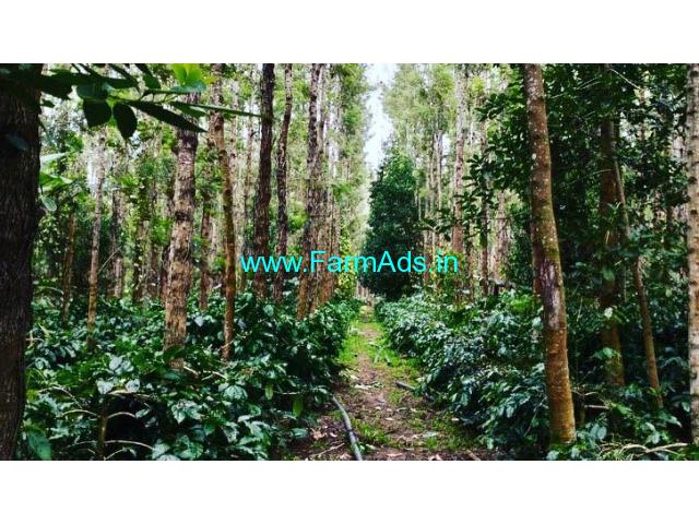 4 acre well maintained coffee estate for sale in Chikmagalur 4 acre well maintained coffee estate for sale in Chikmagalur