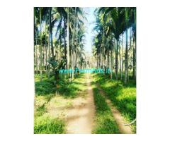 1 acre Areca plantation for sale in Sakarayapatna