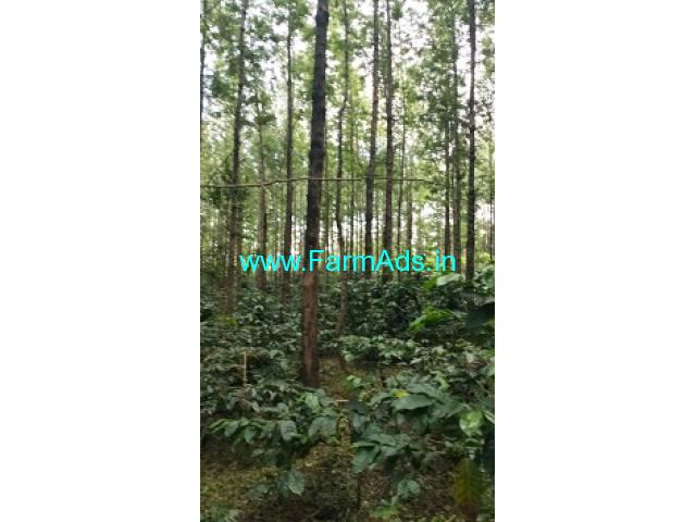 4 acre well maintained coffee estate for sale in Mallenhalli road 4 acre well maintained coffee estate for sale in Mallenhalli road