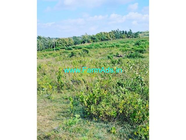 4 acre agri land for sale in Belur 4 acre agri land for sale in Belur