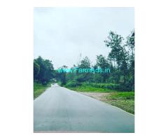3 acre 6 Gunta plantation for sale in Sakleshpur